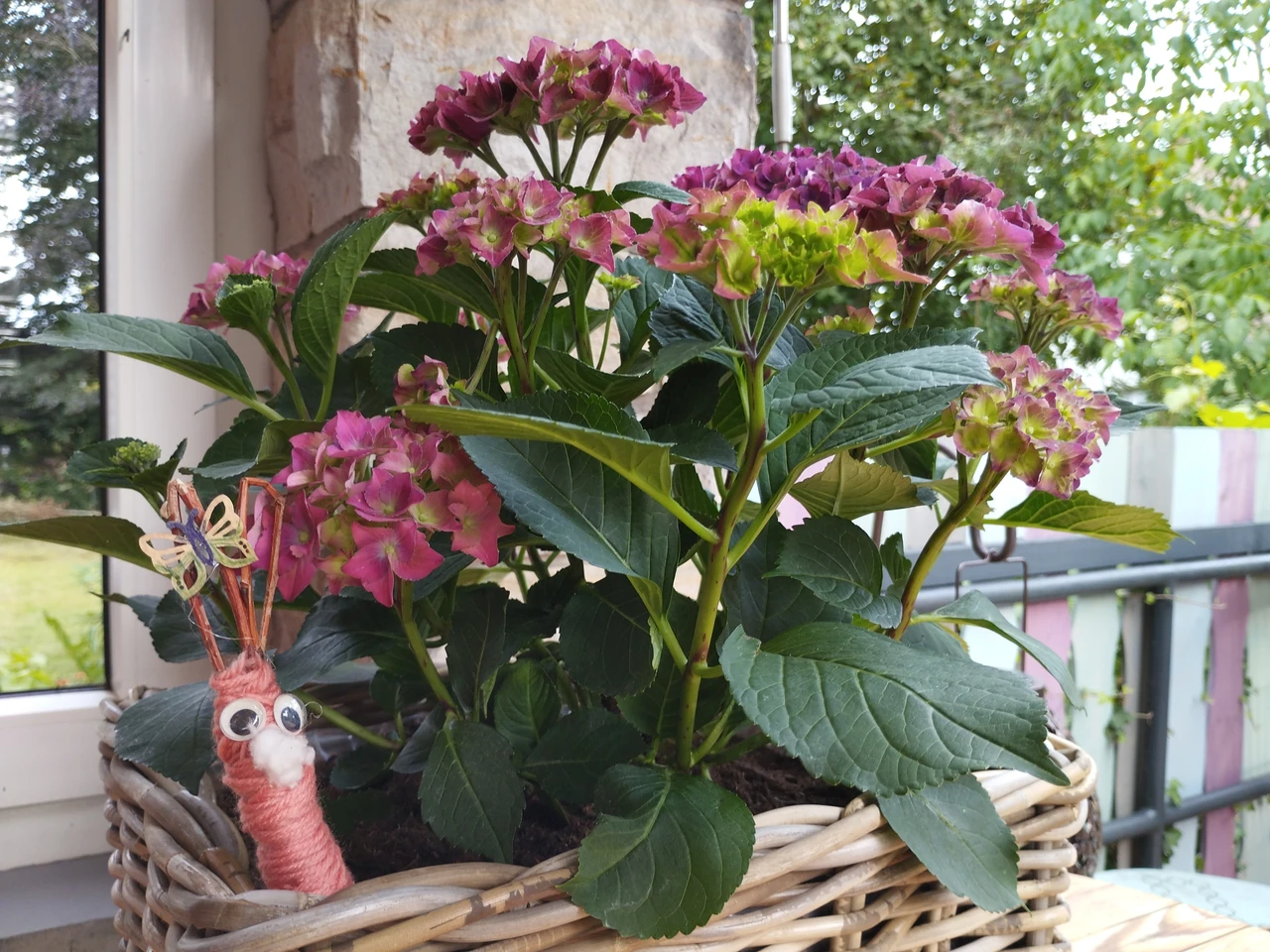 Plant basket